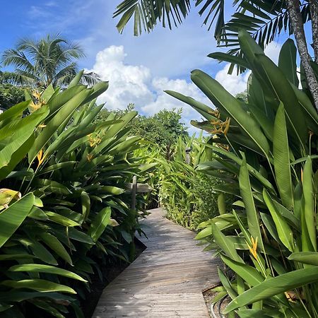 Eden Paradise Ecolodge & Spa Sainte-Luce Exterior foto