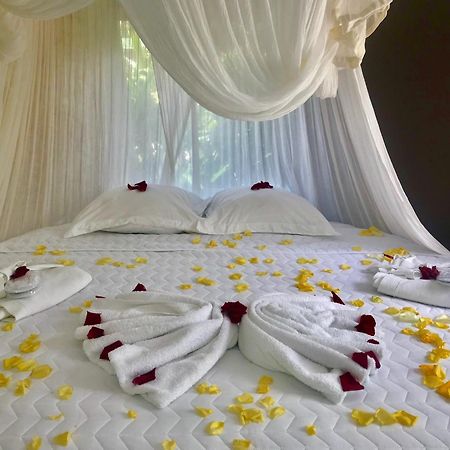Eden Paradise Ecolodge & Spa Sainte-Luce Zimmer foto