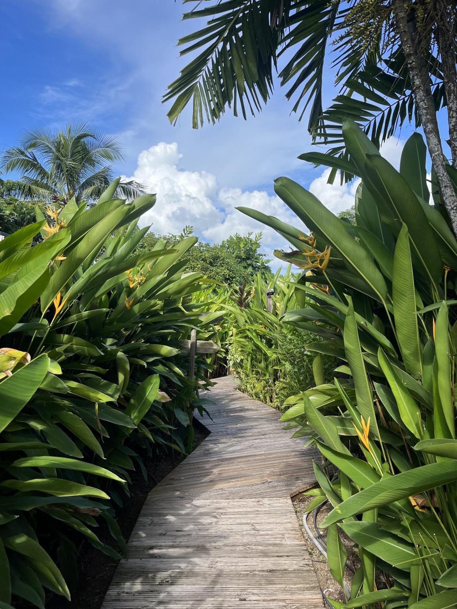 Eden Paradise Ecolodge & Spa Sainte-Luce Exterior foto