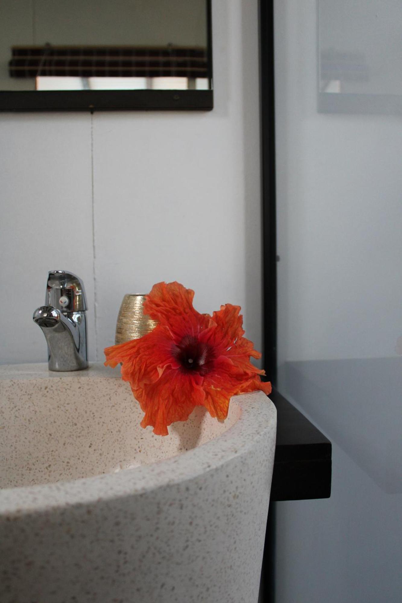 Eden Paradise Ecolodge & Spa Sainte-Luce Zimmer foto