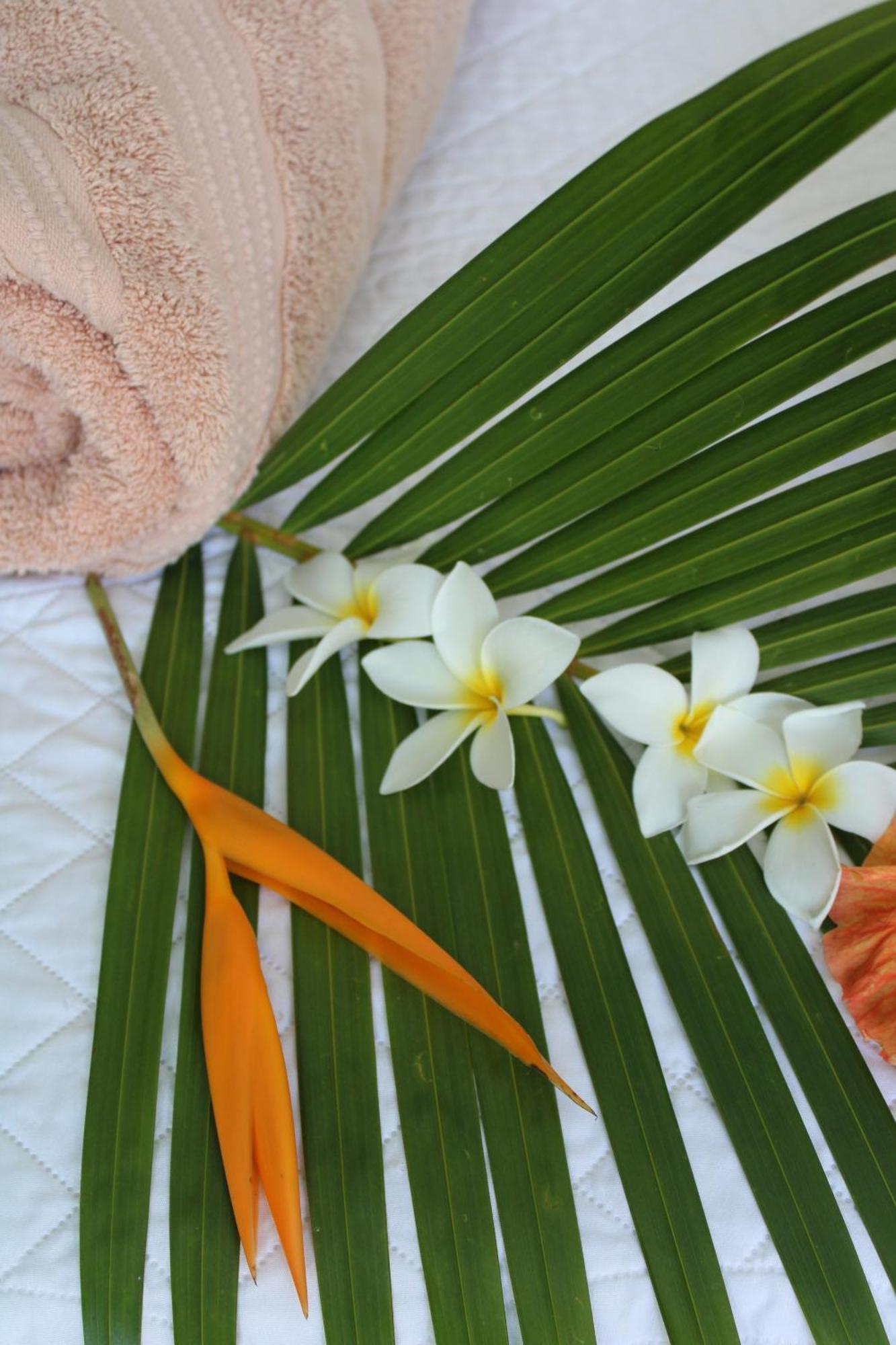 Eden Paradise Ecolodge & Spa Sainte-Luce Zimmer foto