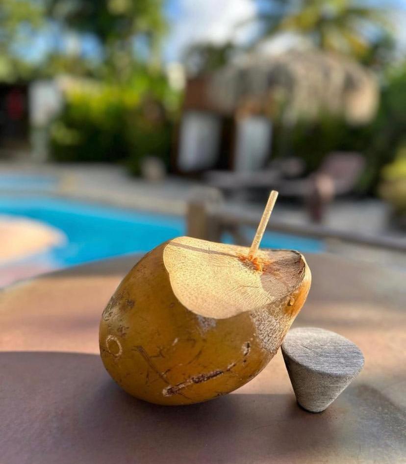 Eden Paradise Ecolodge & Spa Sainte-Luce Exterior foto